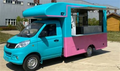 Carrozzeria del camion del gelà in fibra de veder